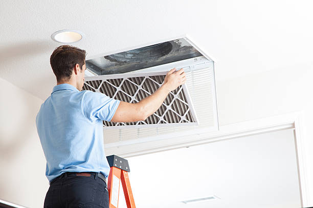 Best Air Filters and Purifiers in Blair, WI